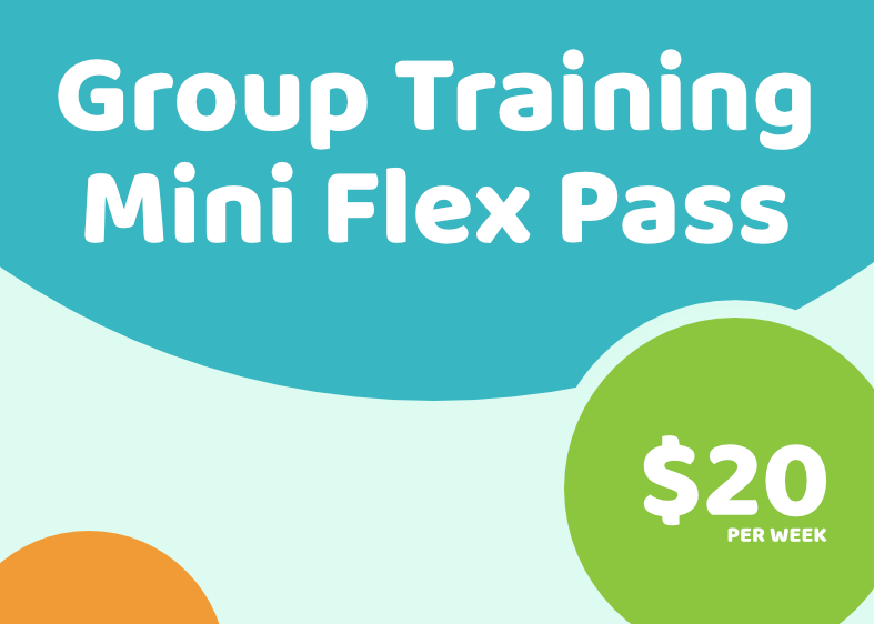 Mini Flex Pass